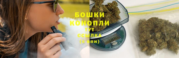тгк Вяземский