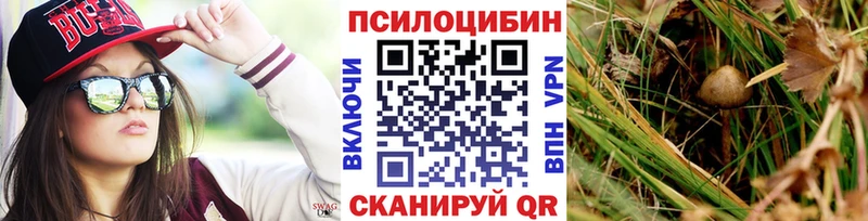 Галлюциногенные грибы MAGIC MUSHROOMS  Купить закладки  Лаишево 