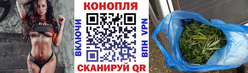 Купить закладки  Лаишево  Бошки Шишки семена 